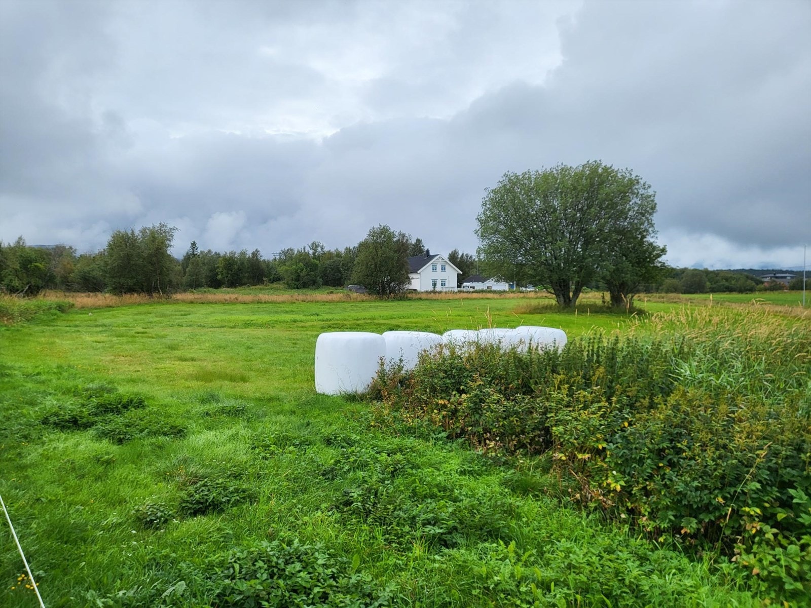 Snitt, eiendomstomt. Galleribilde