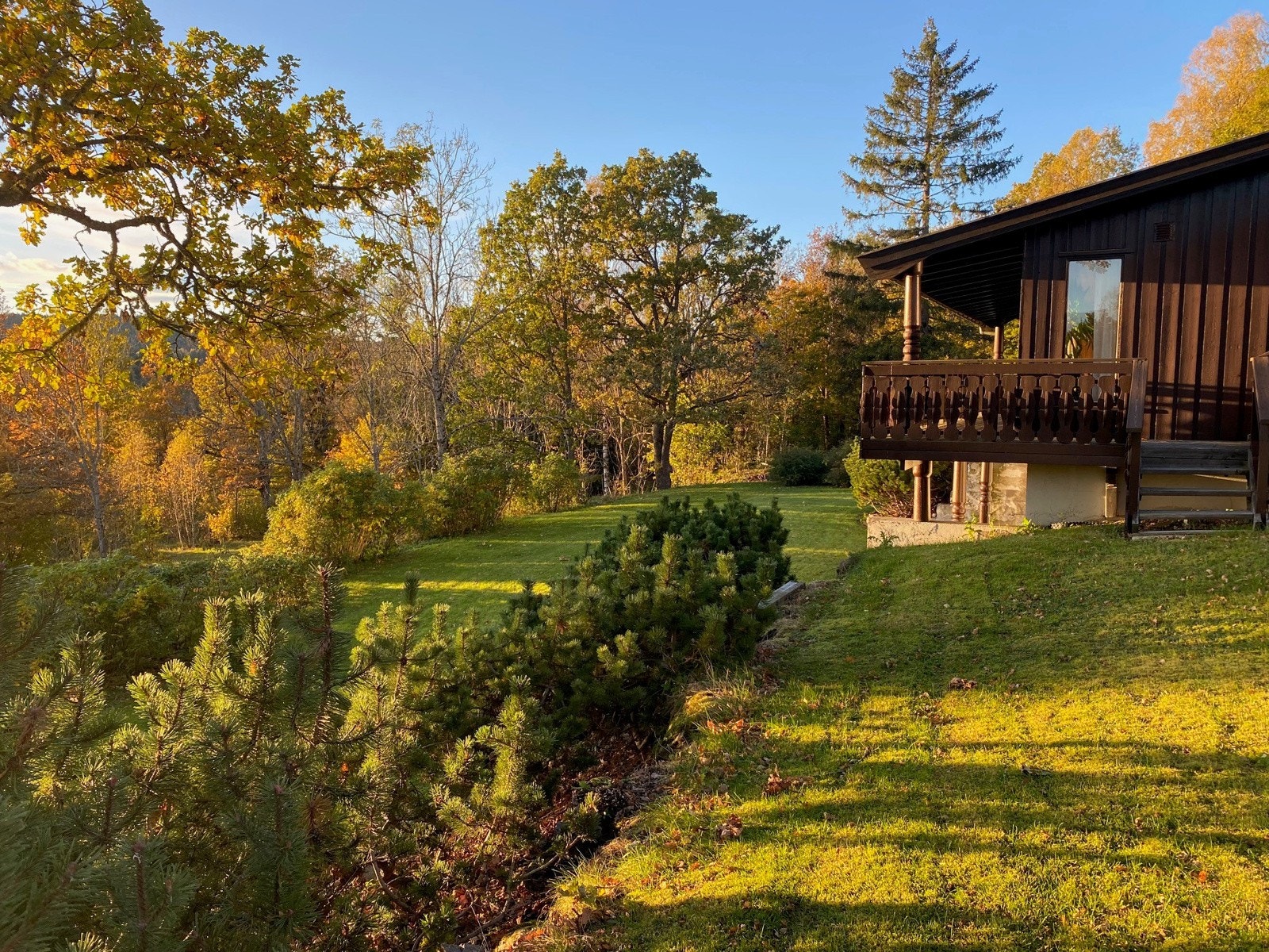 Selgers egne bilder. Galleribilde