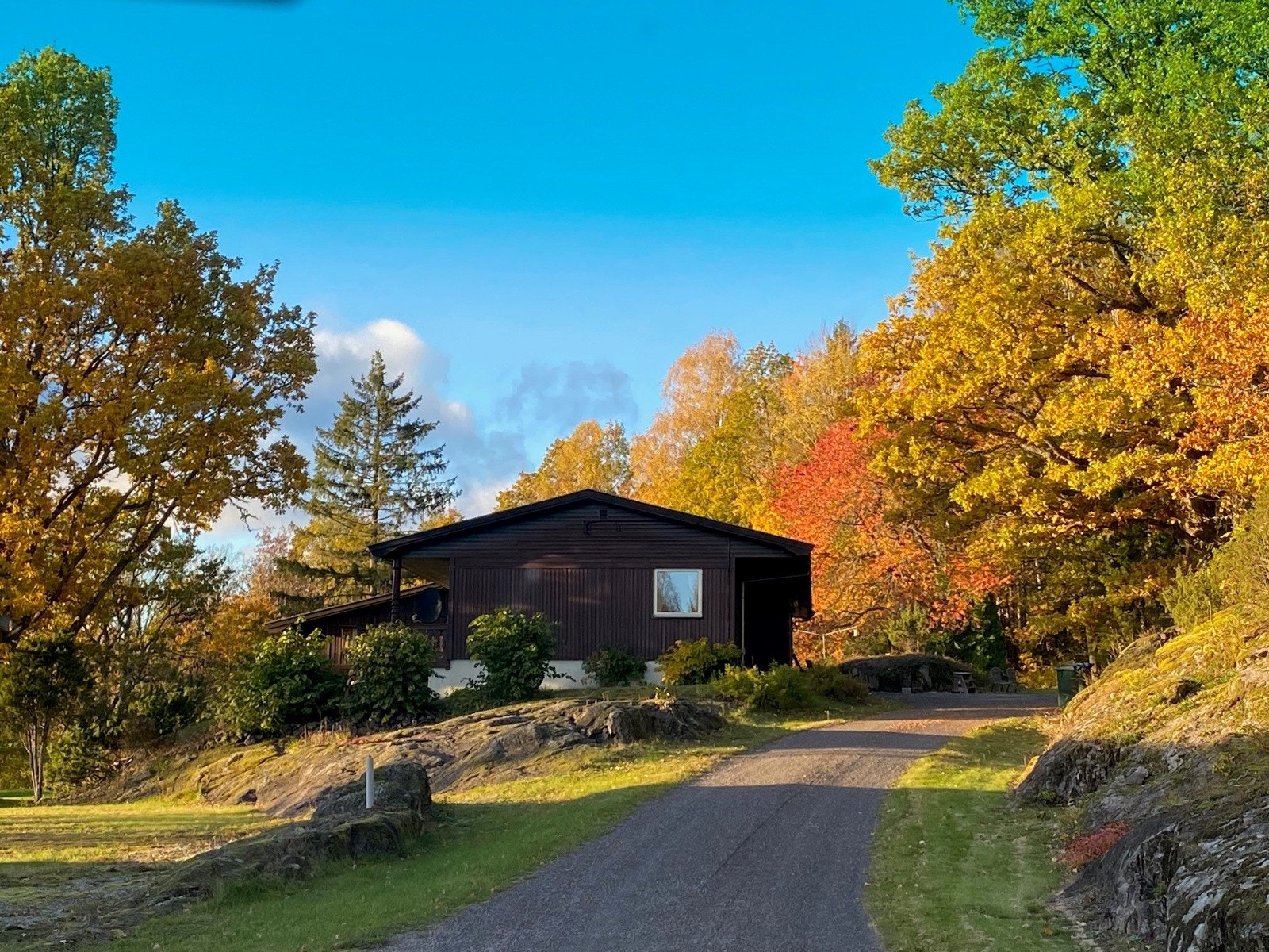 Selgers egne bilder. Galleribilde