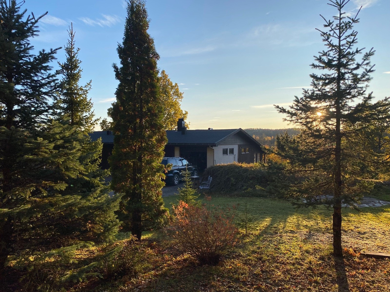 Selgers egne bilder. Galleribilde