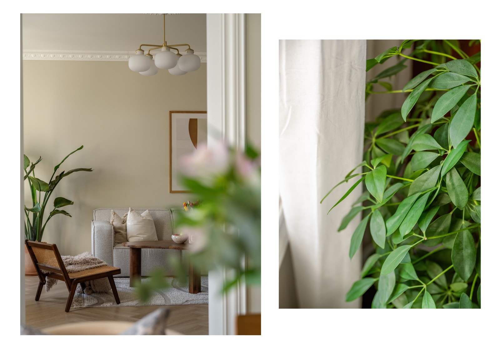 I konkurransen "Hvor mange planter kan vi få med i ett bilde" stiller vi i dag med denne sterke kandidaten. Galleribilde