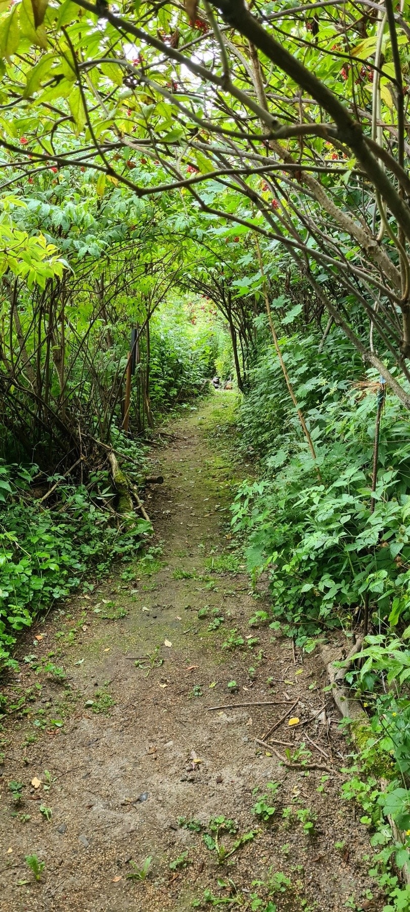 Tursti på egen tomt Galleribilde