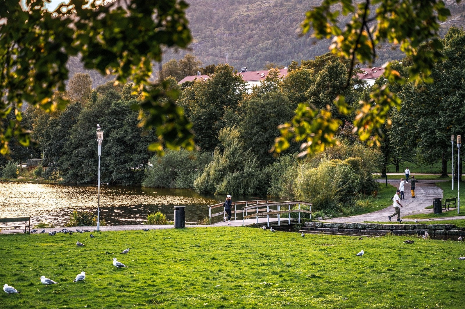 - Alternativt kan du ta turen rundt Tveitevannet, et flott område for en spasertur eller joggetur rundt vannet langs vannet - Galleribilde