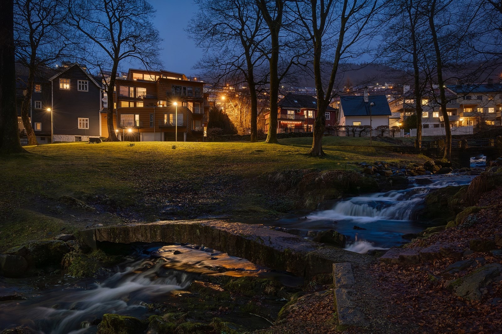 - Leiligheten ligger like ved nydelige Christieparken - Galleribilde