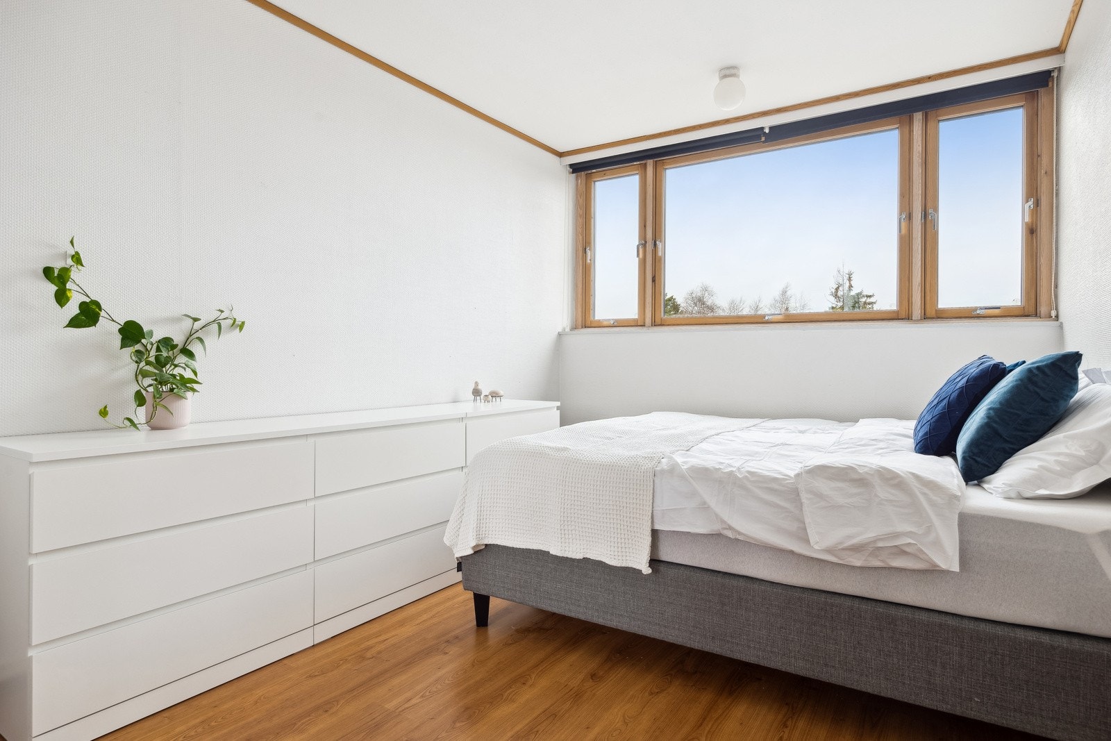 Leiligheten har store vindusflater som slipper inn riklig med lys. Galleribilde