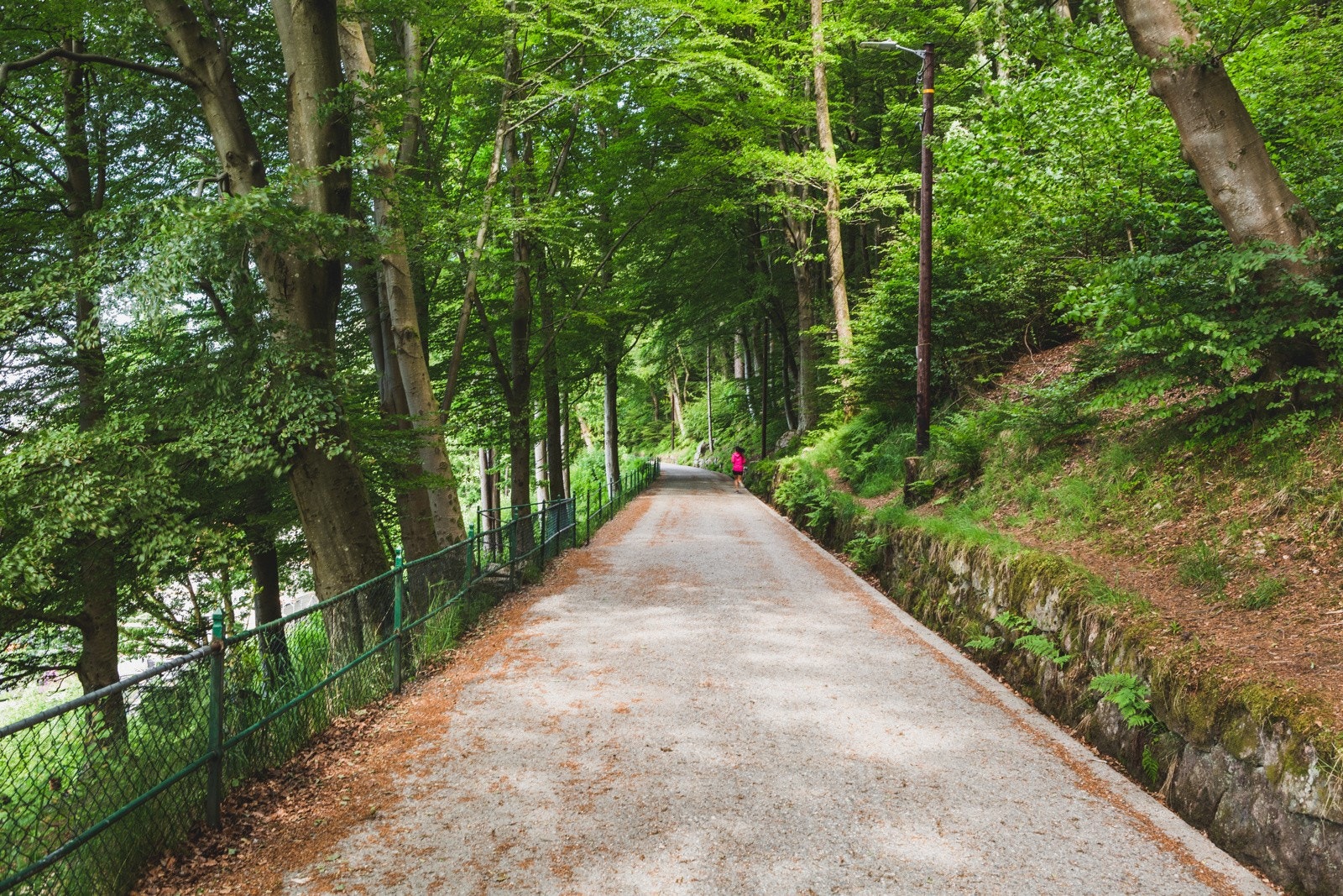 *Fantastiske turmuligheter i område som Fjellveien, Fløyen, Skredderdalen, Sandviksfjellet og Stoltzekleiven. Galleribilde