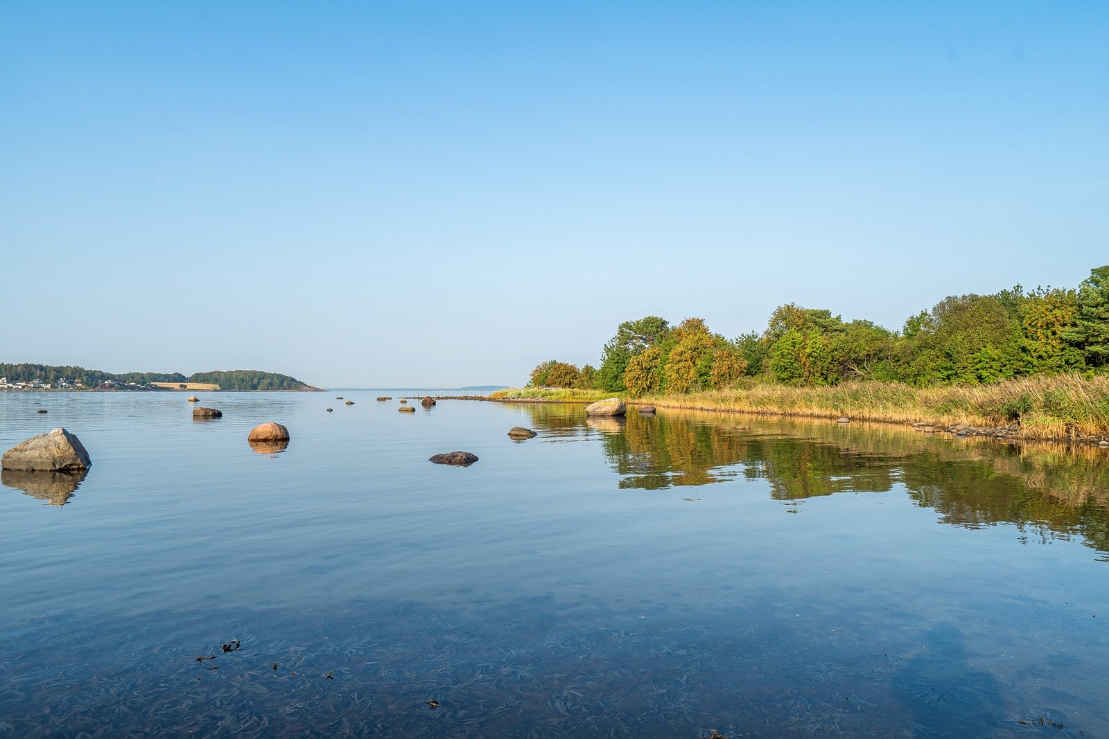 Kyststi-Ringshaug-Skallevold Galleribilde