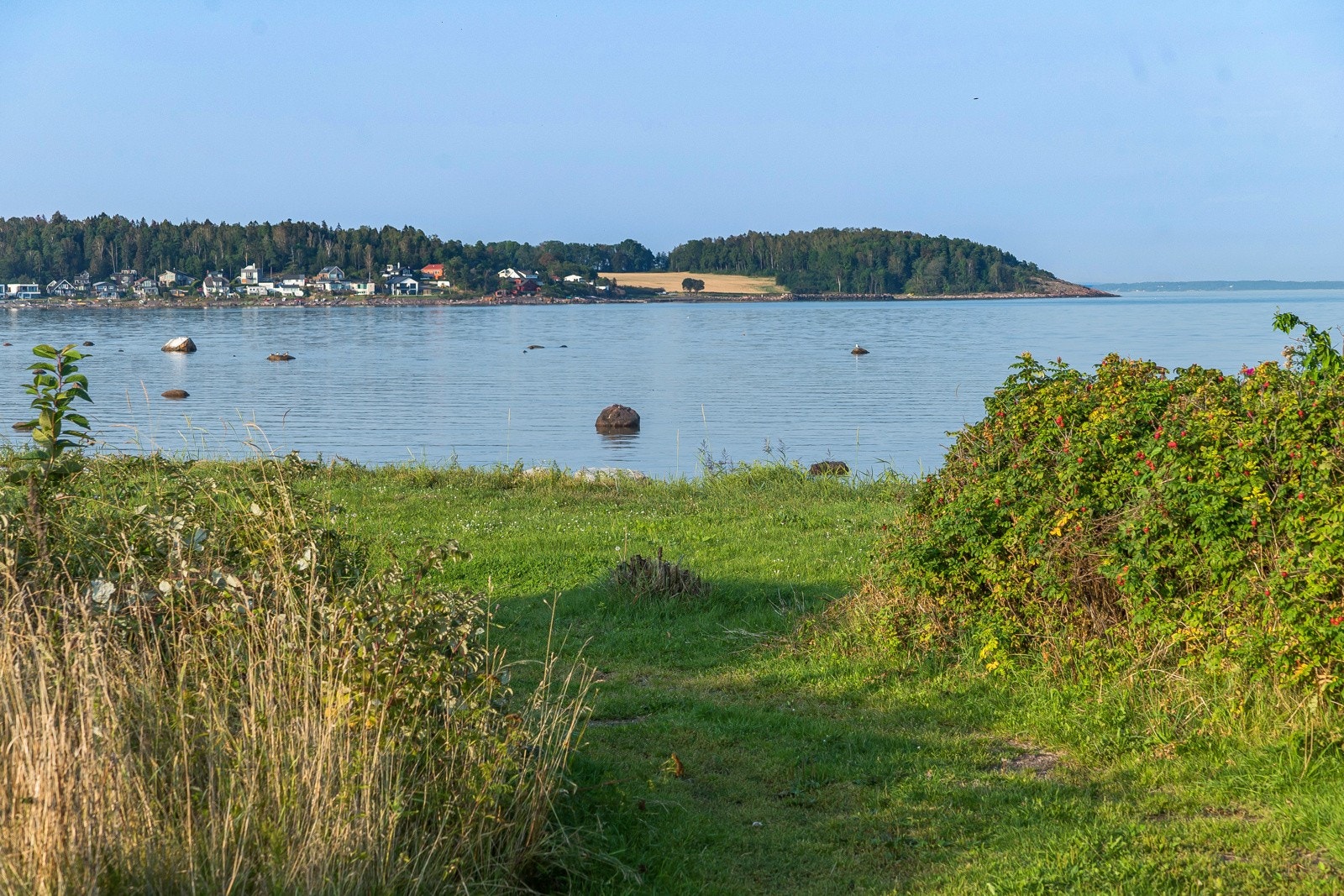 Kyststi-Ringshaug-Skallevold Galleribilde