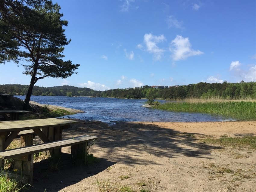 Badeplass ved Kvernhusvannet Galleribilde