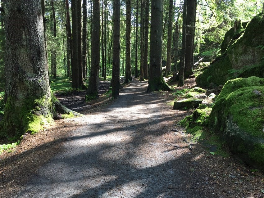 Rundløype rundt Kvernhusvannet Galleribilde