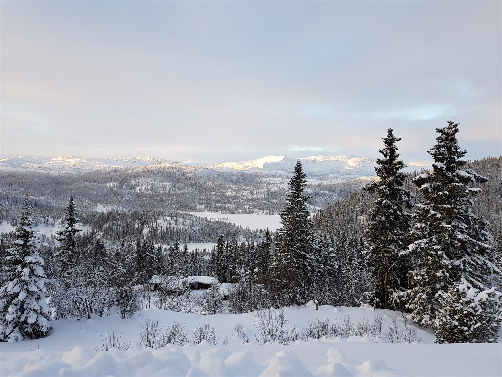Utsikt -selgers private bilde- Galleribilde