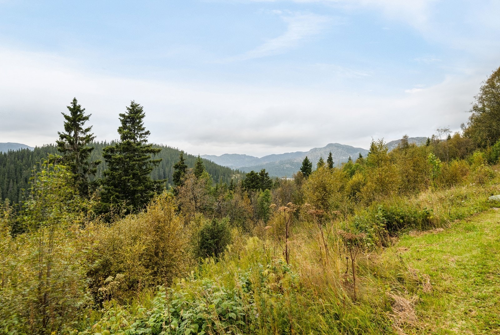 Området kan tilby fine naturopplevelser og flott turterreng som egner seg godt både til sommer- og vinteraktiviteter, med flotte turløyper i variert terreng. Galleribilde