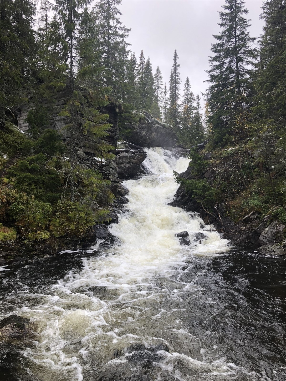 Nærområde - selgers private bilde - Galleribilde