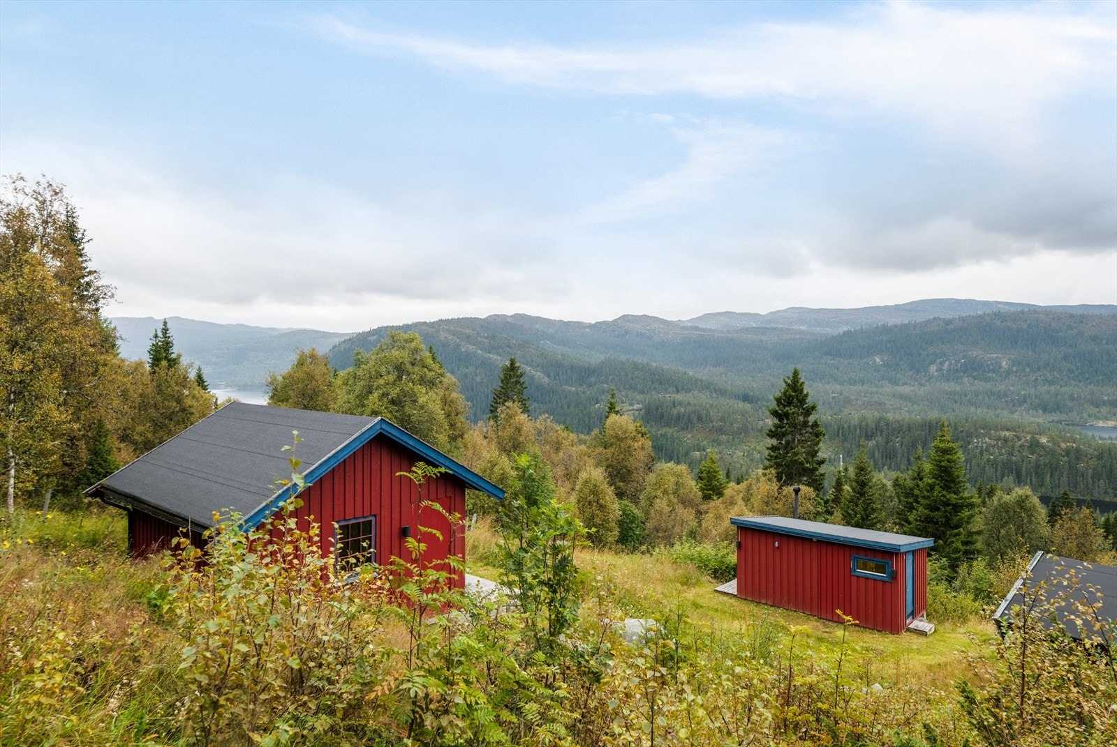 Terrenget rundt hytta består hovedsakelig av naturtomt med gress, busker, lyng og vakre villblomster. Fine områder for aktivitet, lek og utforsking. Galleribilde