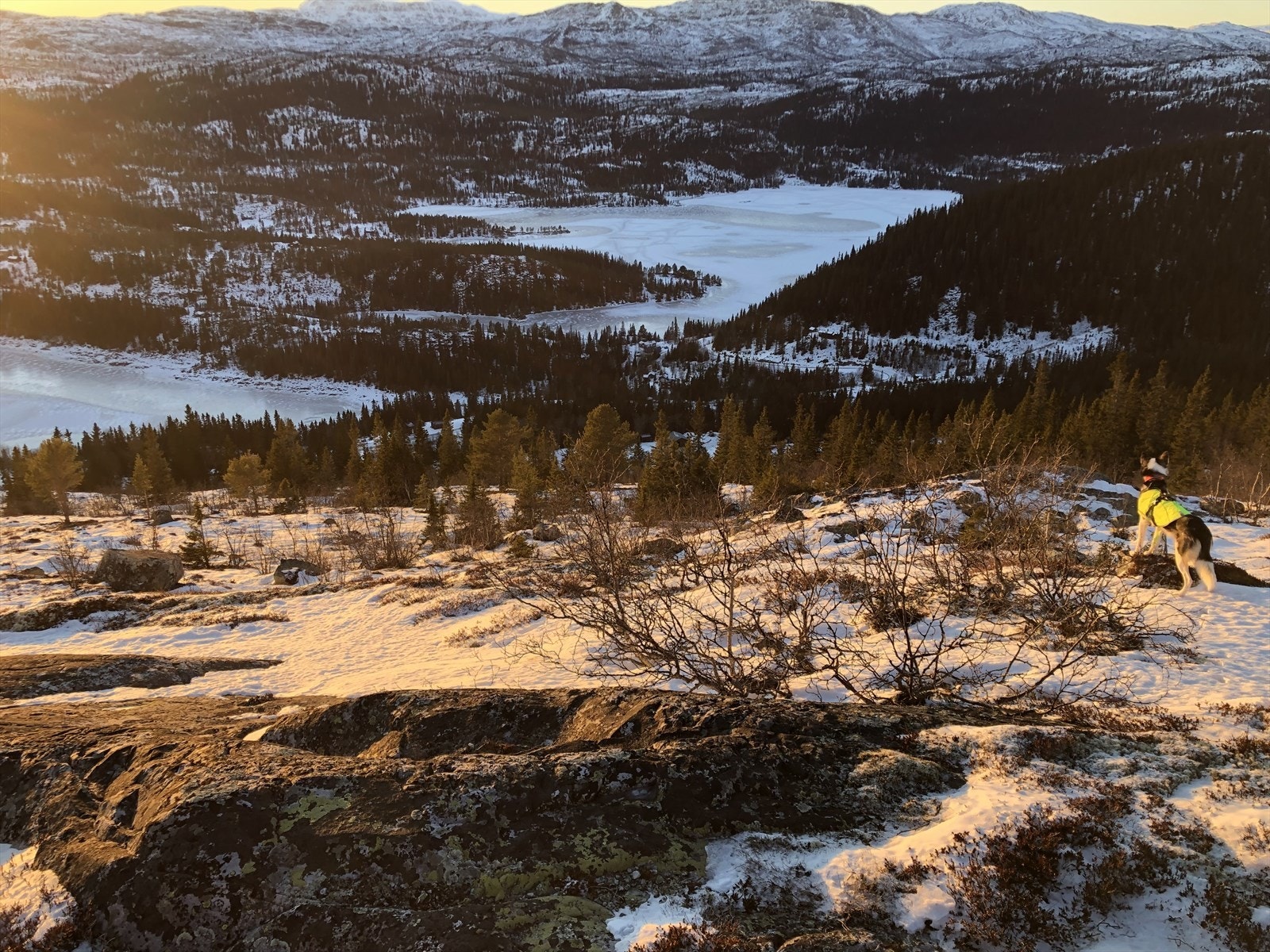 Nærområde - selgers private bilde - Galleribilde