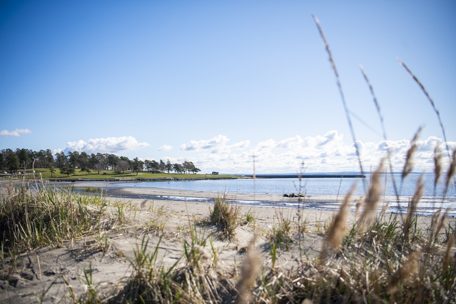 Her kan du nyte sommeren med bading på stranden Galleribilde
