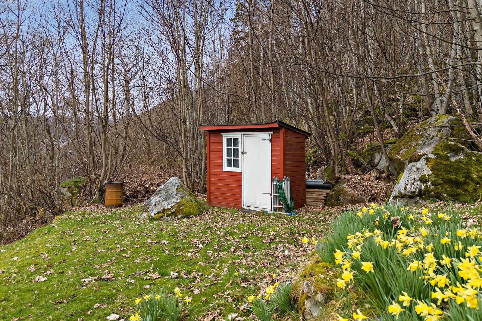 Praktisk utvendig bod, perfekt til oppbevaring av ved, hagemøbler eller turutstyr. Eiendommen er pent opparbeidet, og her titter påskeliljene frem. Galleribilde