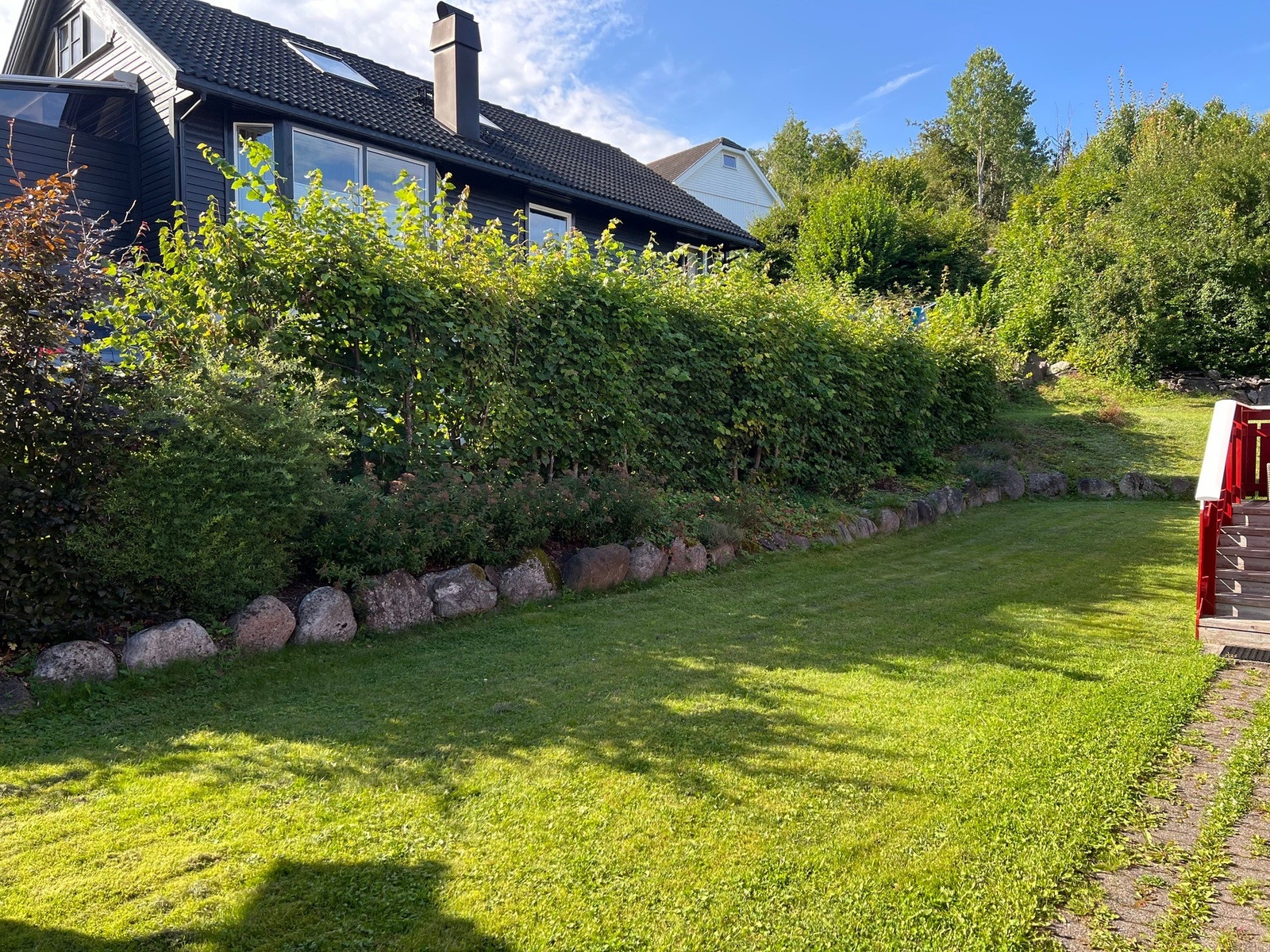 Selgers bilder. Galleribilde