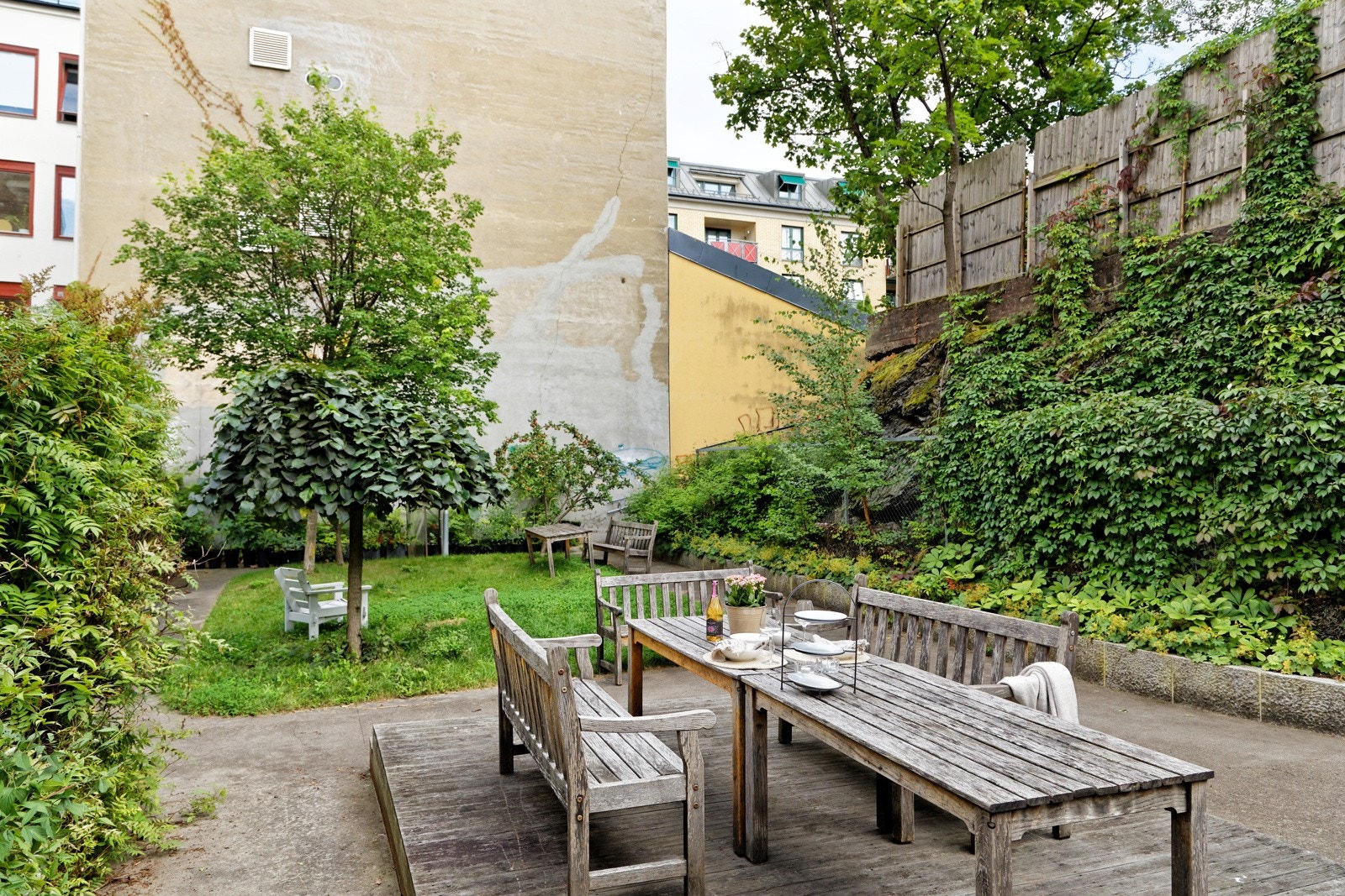 En grønn og frodig oase midt i sentrum! Galleribilde