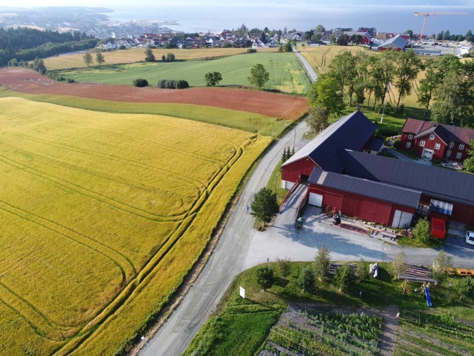 Reppe andelslandbruk ligger like ved med mulighet for å melde seg inn for å dyrke grønnsaker i fellesskap. Gården Reppe Søndre har åpen gård vår, høst og vinter. Galleribilde