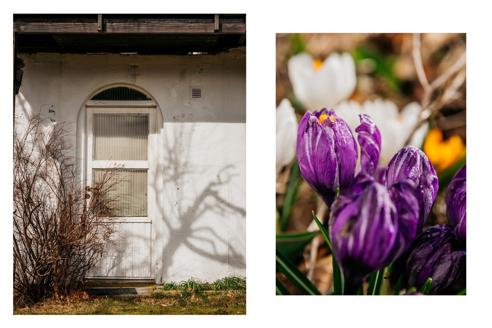 Med litt kjærlighet kan dette bli drømmehjemmet! Galleribilde