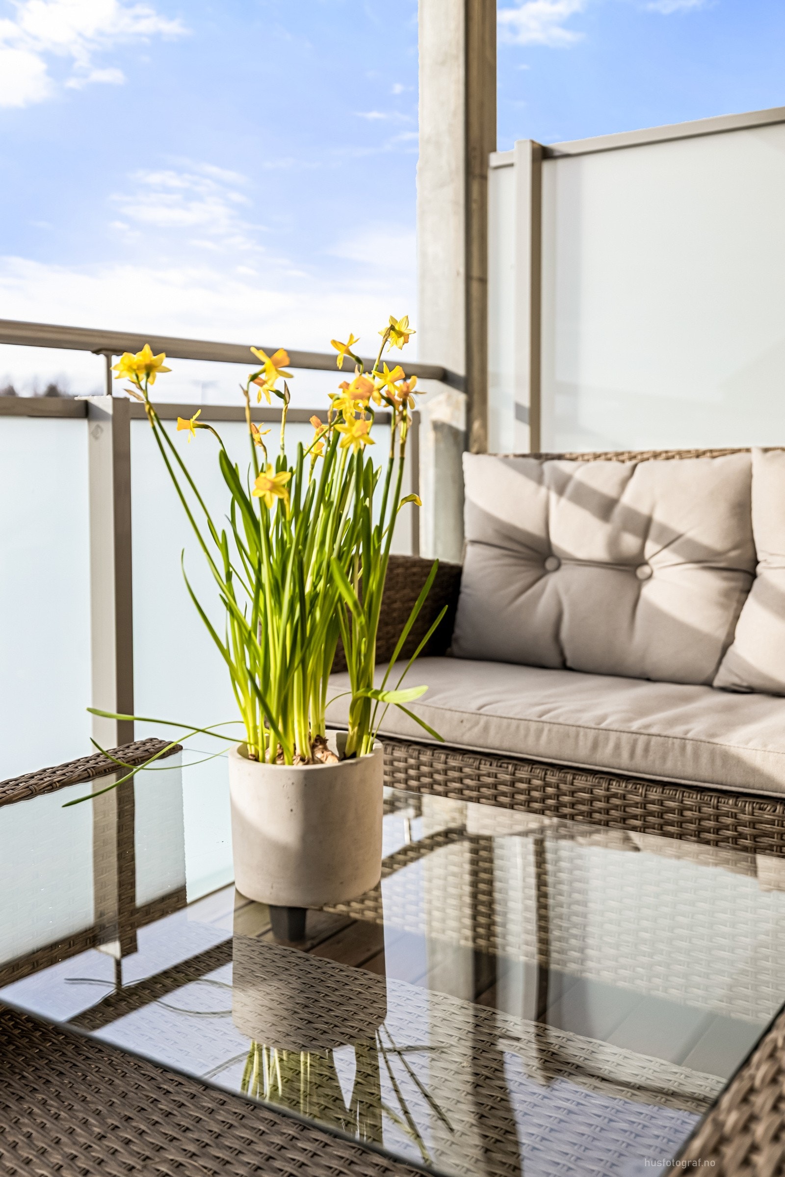 Et lunt og hyggelig sted å nyte sommeren. Galleribilde