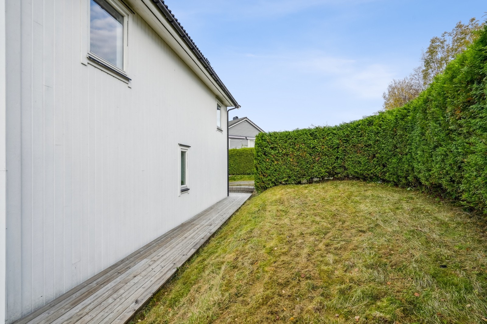 Opparbeidet hage med plen, hekk. Terrasse fra inngangspartiet til hagen. Galleribilde