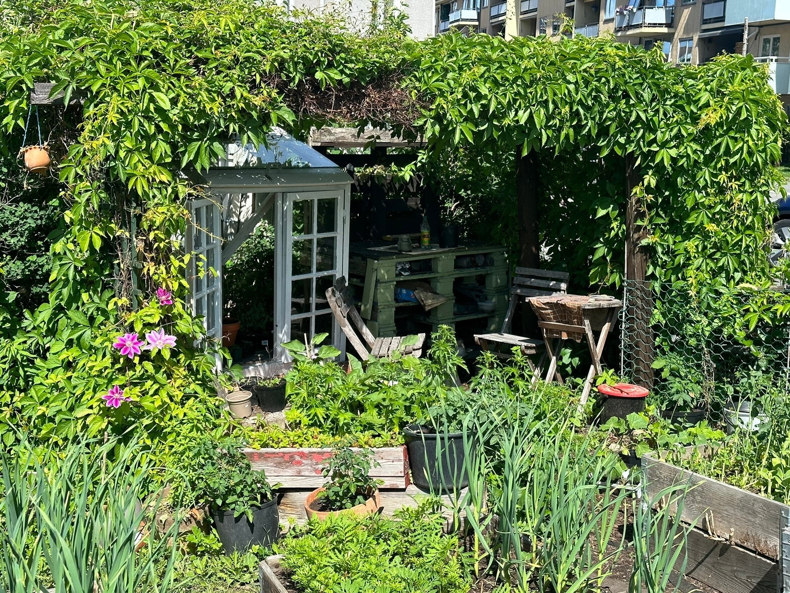 Prisbelønt bakgård. Galleribilde