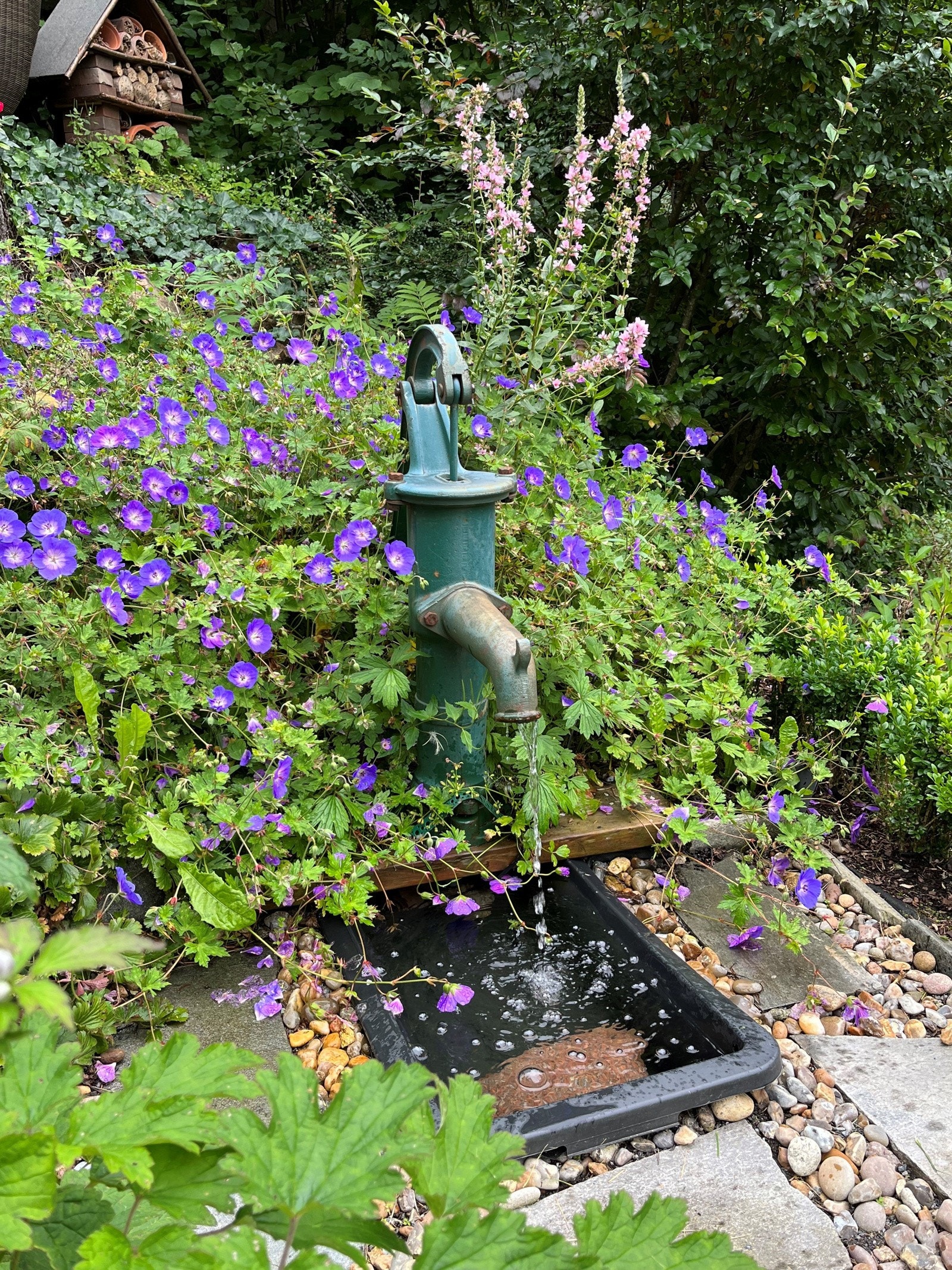 Hagebilde med fontene. Galleribilde