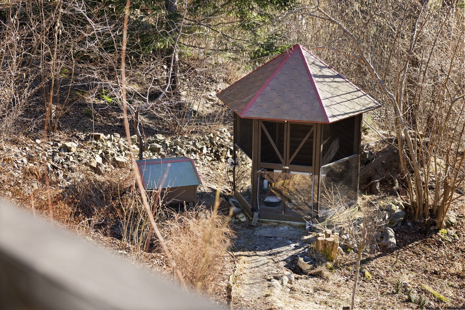 Uthus for vaktler i hagen. Galleribilde