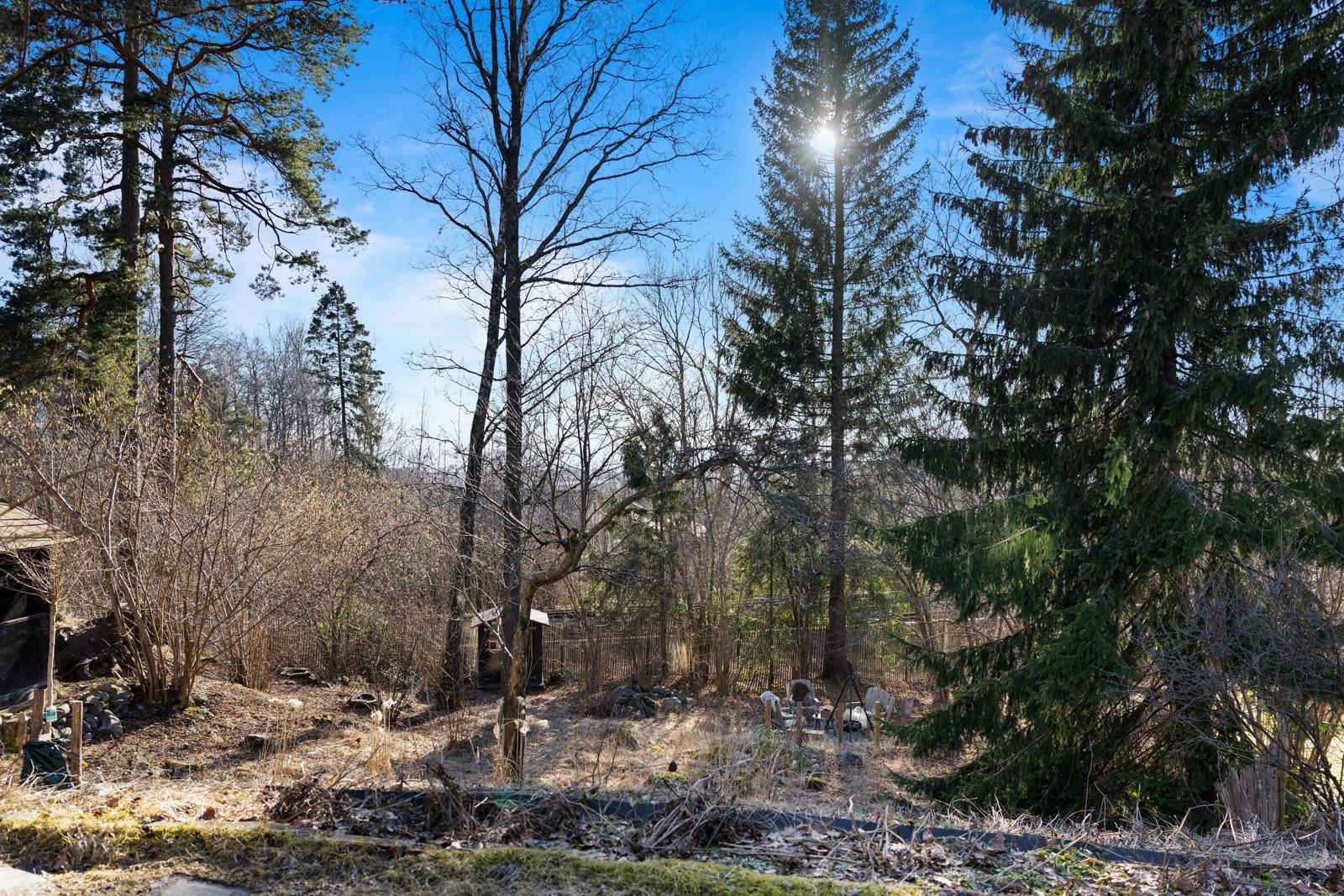 Hagebilder. Galleribilde