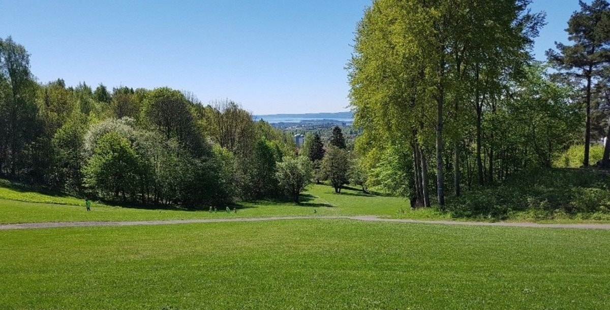 Det er få minutters gange til populære Havnabakken som er en nydelig grønn lunge på sommerstid, en rå akebakke og et herlig samlingssted på vinterstid! Galleribilde