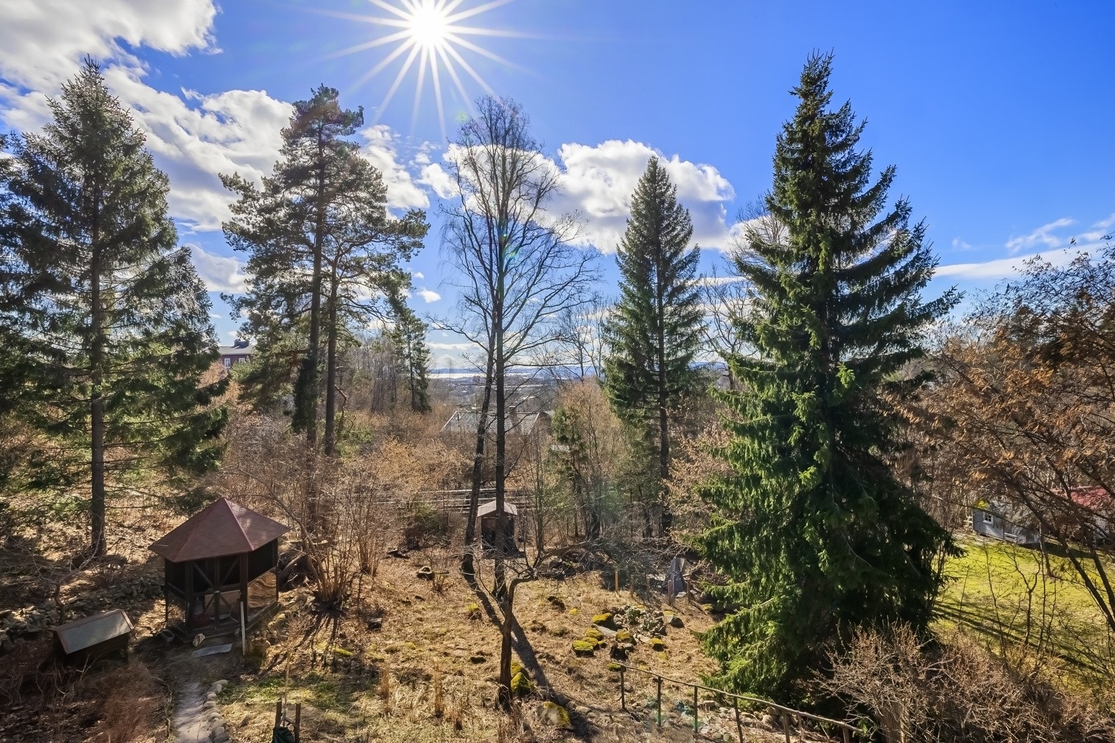 Hagebilde. Galleribilde