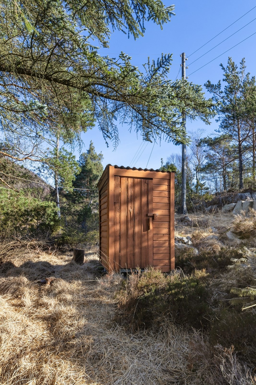 Utebod på tomten. Galleribilde