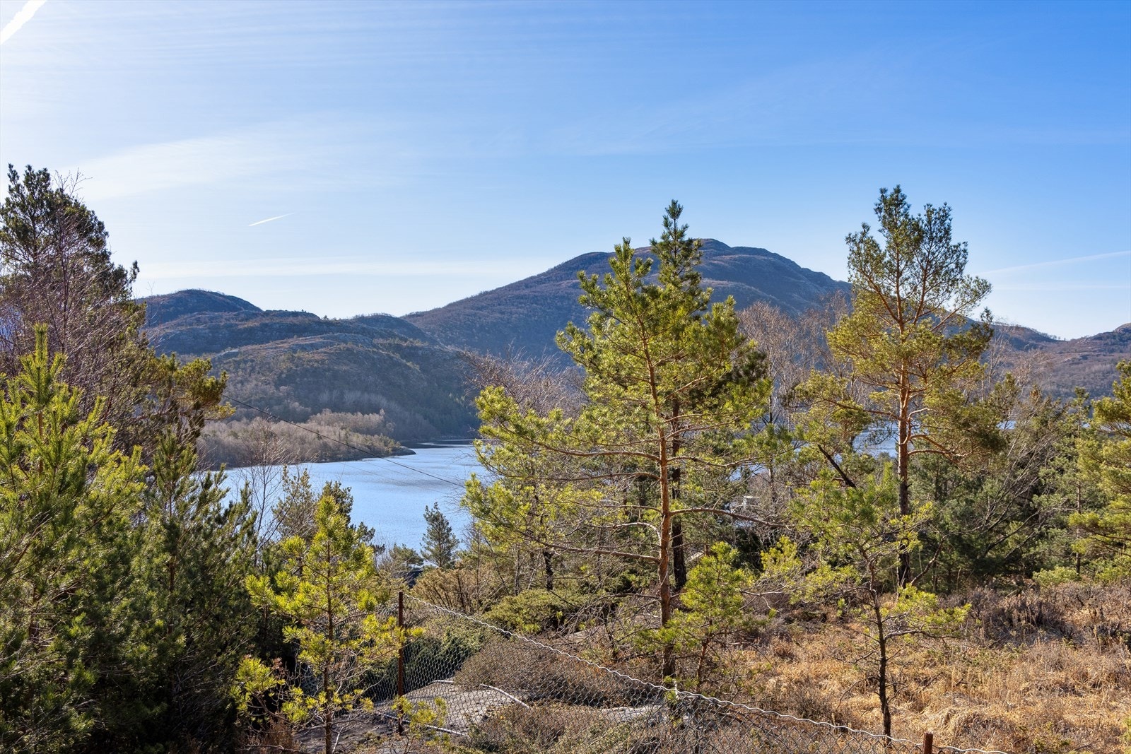 Hytte med fantastisk utsikt mot fjorden. Galleribilde