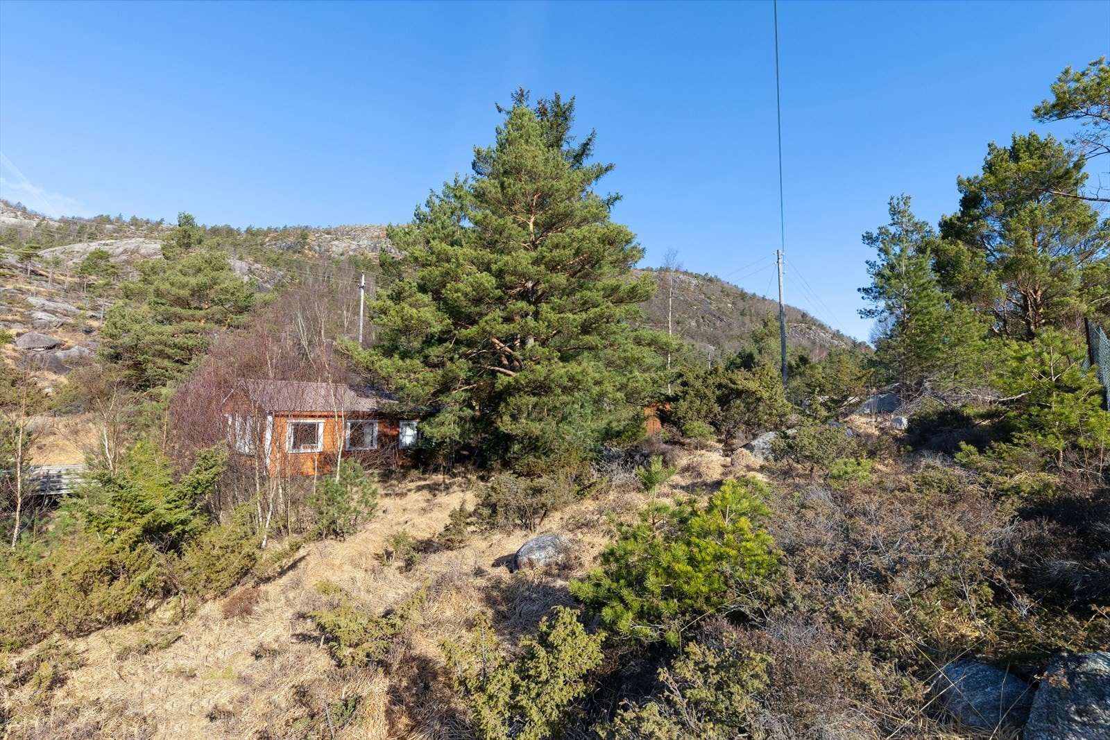 Tomten består av stein, fjell og variert vegetasjon. Galleribilde