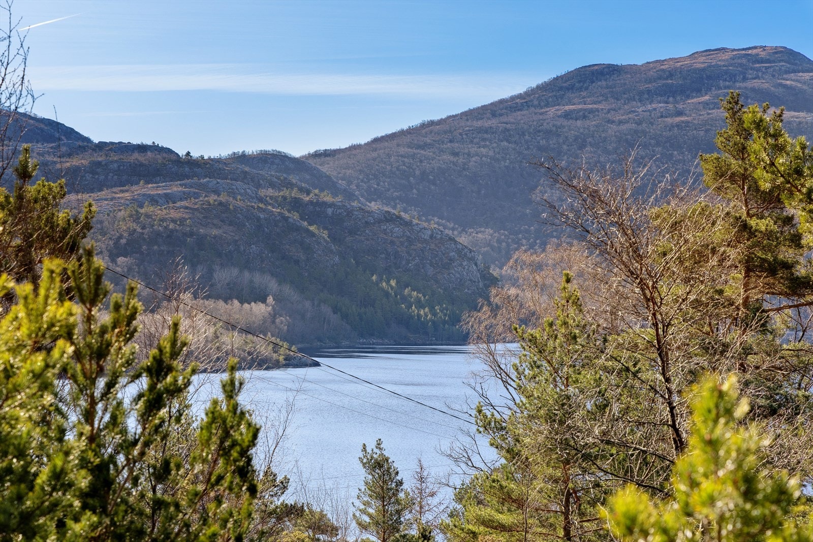 Utsikt. Galleribilde