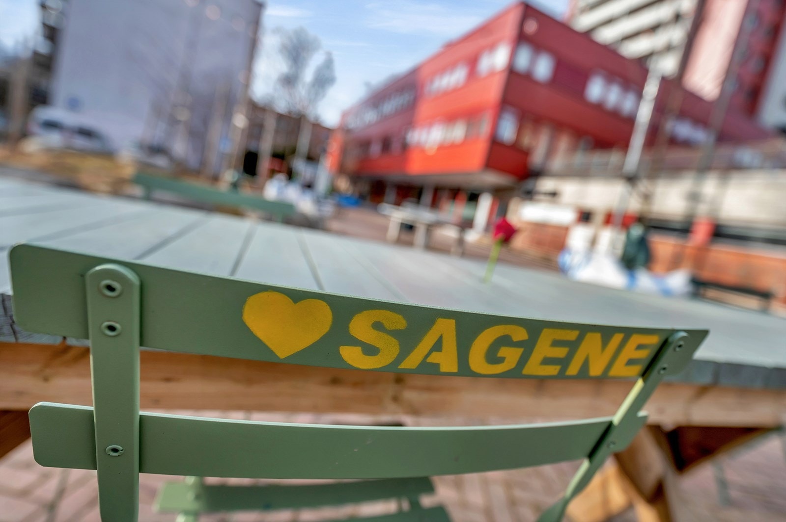 Nærområdet. Galleribilde