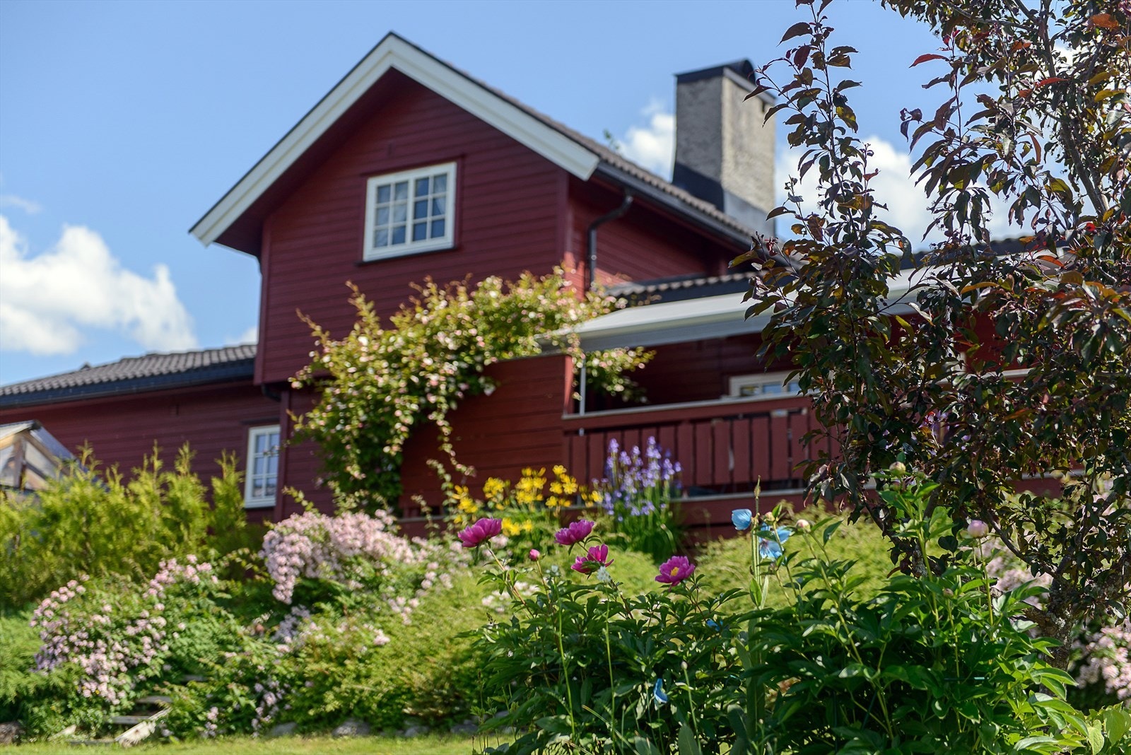 En grønn oase med kort avstand inn til sentrum. Galleribilde