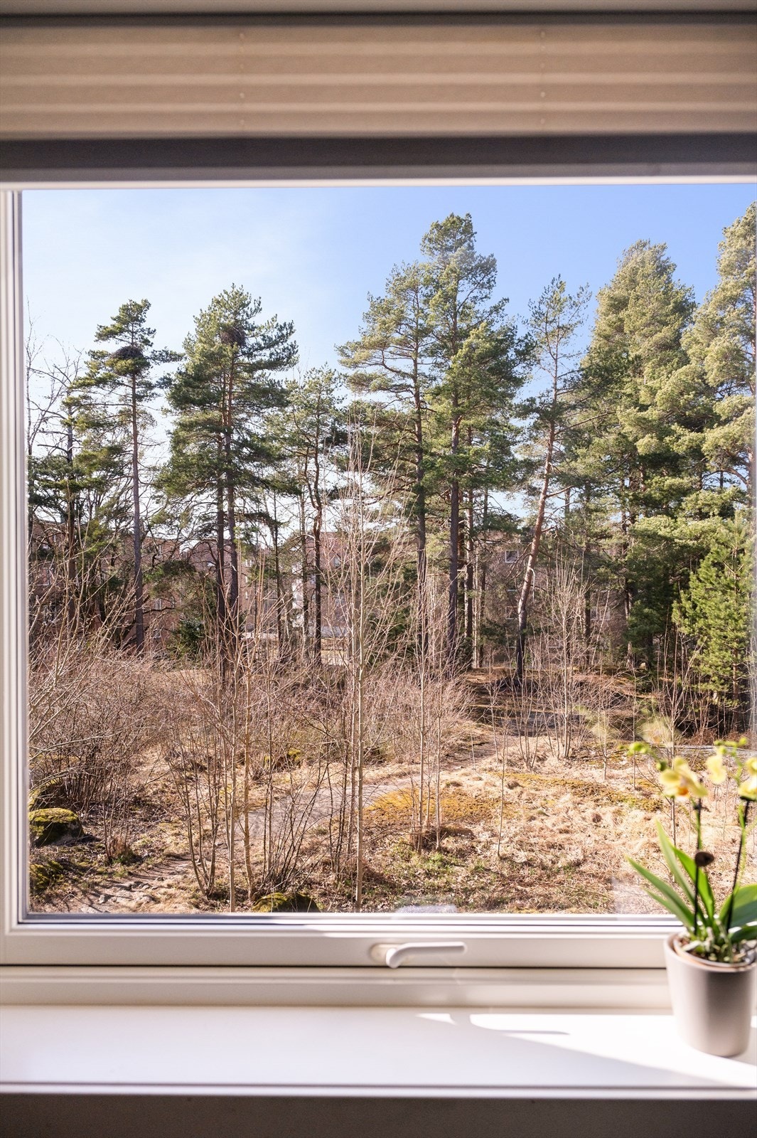 Hyggelig utsyn fra kjøkkenet. Galleribilde