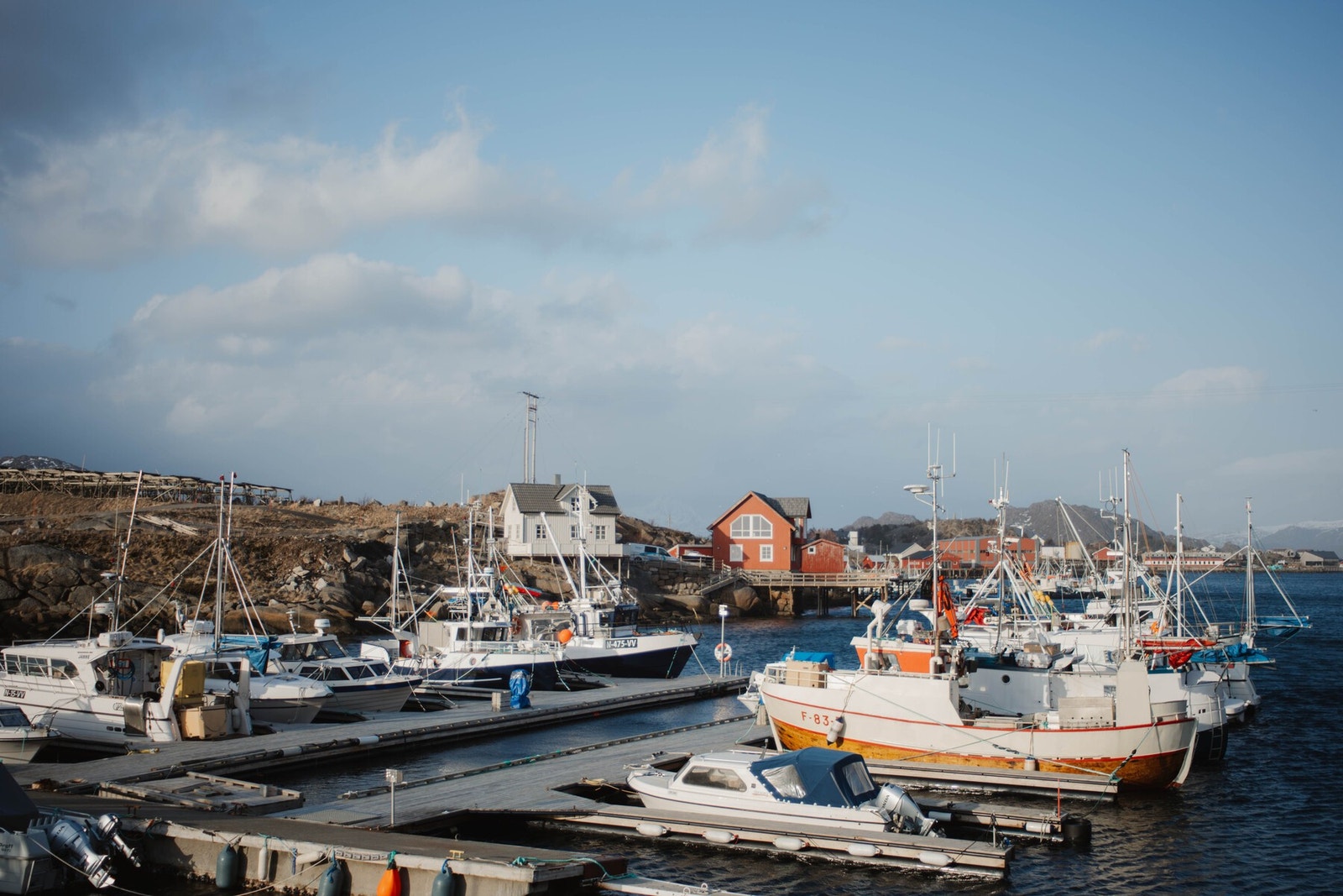 Nærområdet. Galleribilde