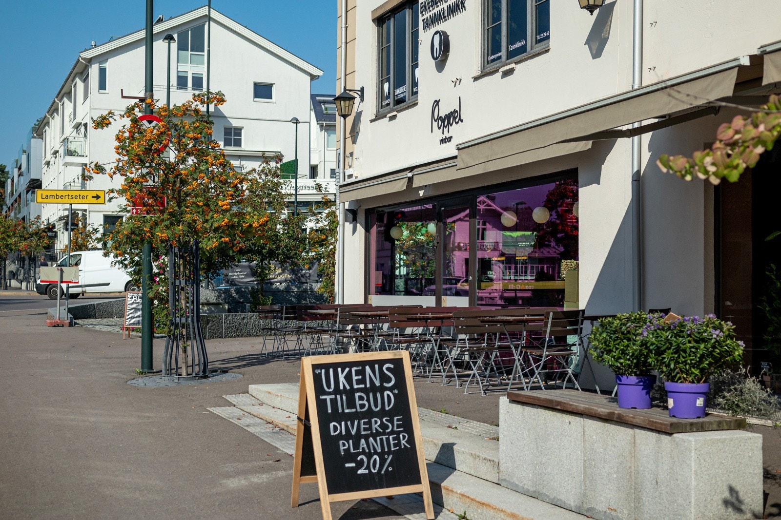 Nærområde - Sæter Poppel Vinbar Galleribilde