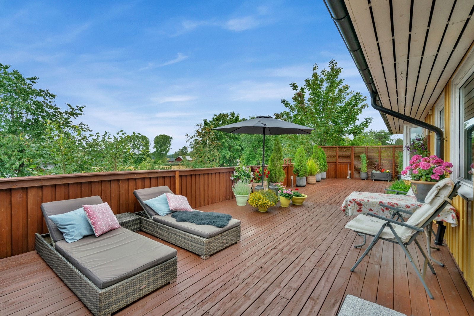 DSC07997 Galleribilde