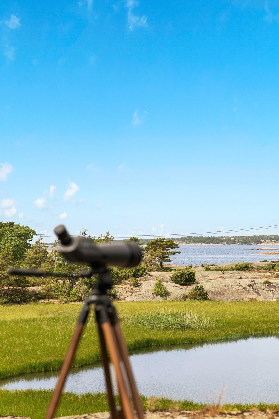 Disse områdene har en unik kombinasjon av naturskjønnhet og praktisk beliggenhet, noe som gjør dem attraktive for både fastboende og hyttefolk. Galleribilde