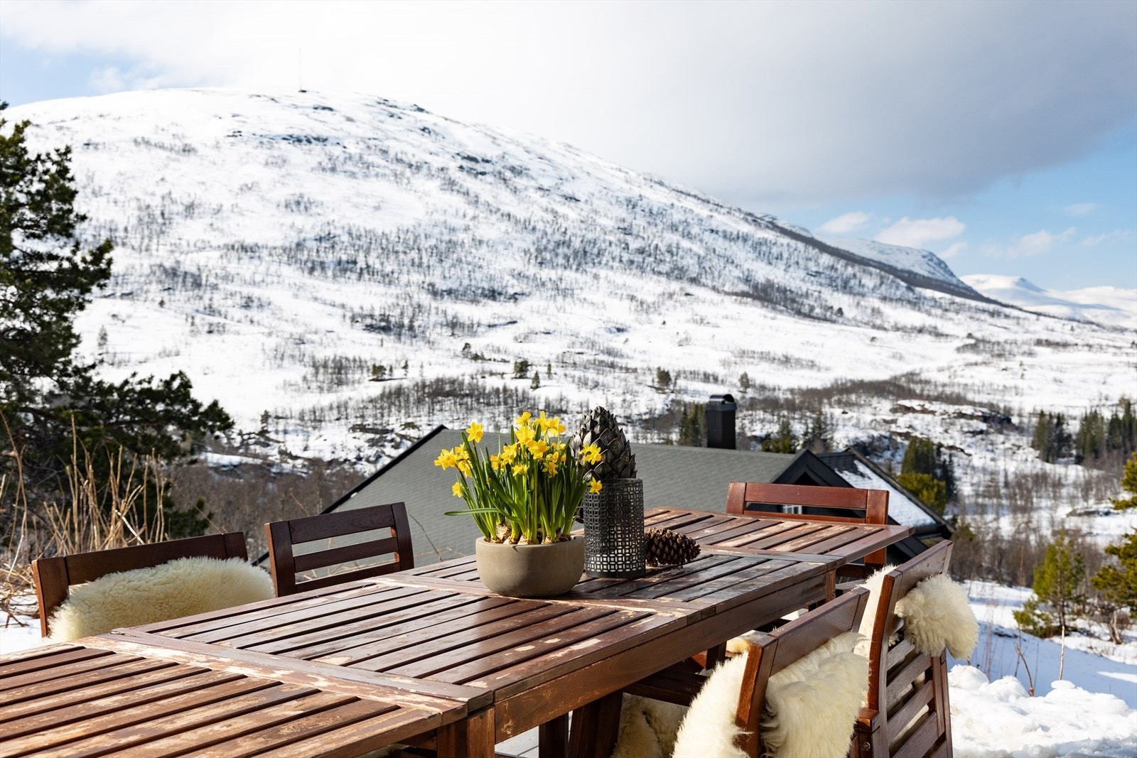 Med sørvendt terrasse kan solen nytes hele dagen. Galleribilde