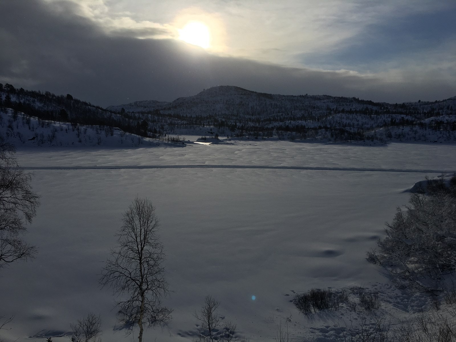 IMG_3232.JPG Galleribilde