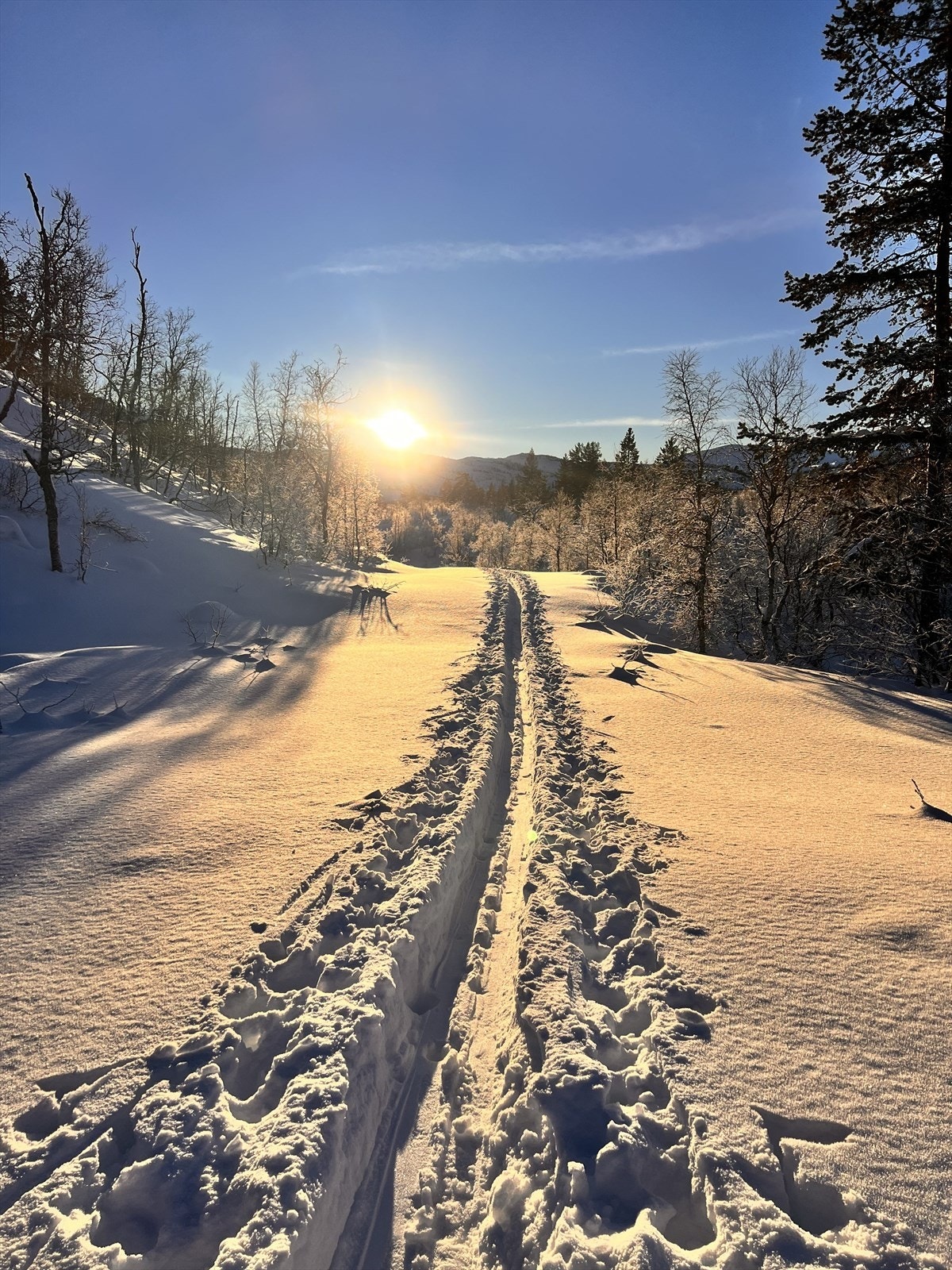 Bilde fra selger Galleribilde