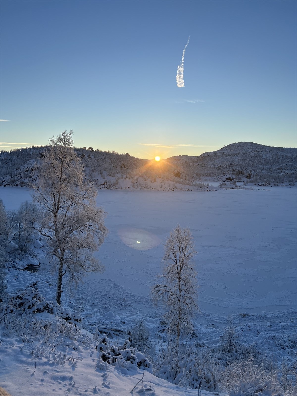 Bilde fra segler Galleribilde