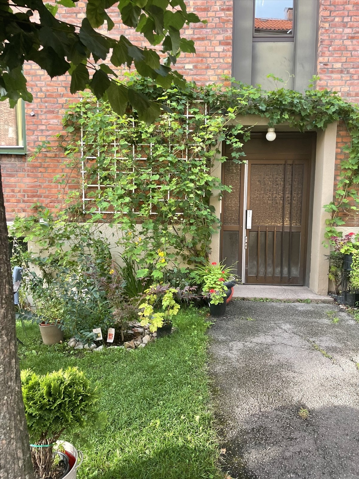 Koselig inngangsparti med pen beplantning. Galleribilde