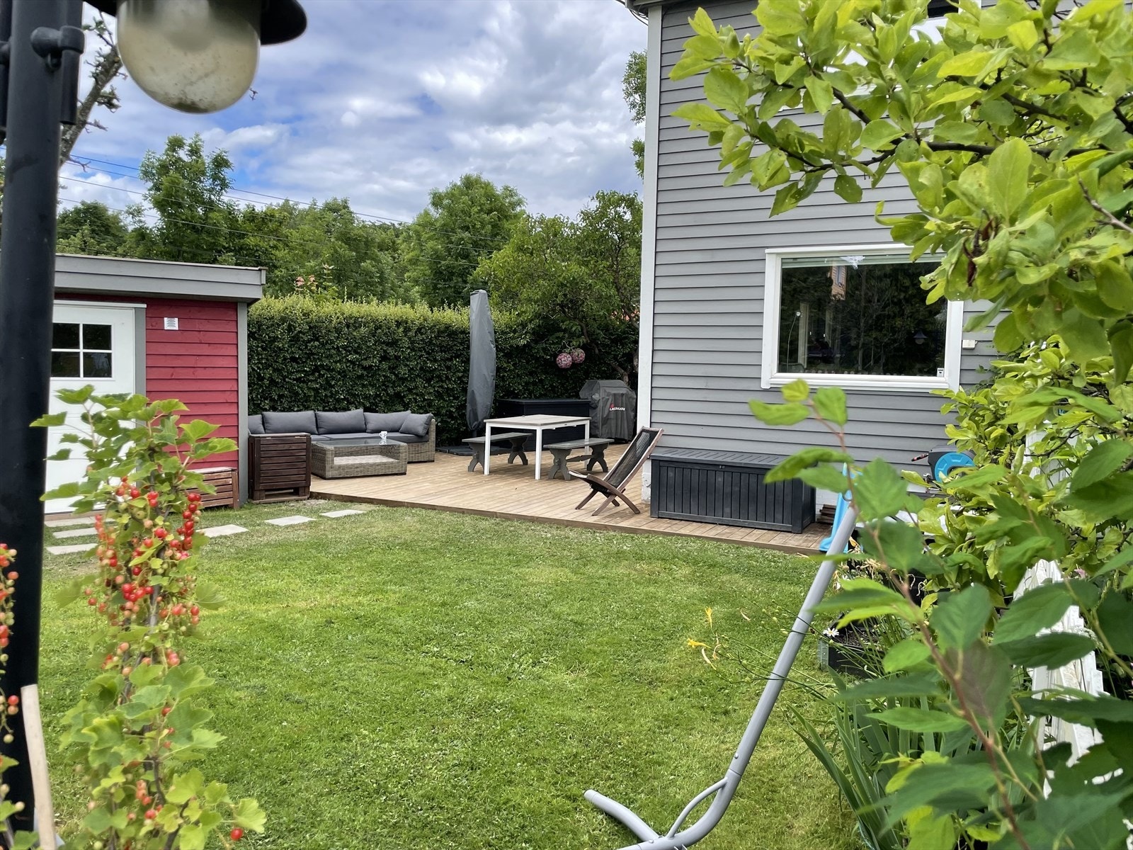 Hagedelen blir grønn og frodig på sommerstid (selgers eget bilde) Galleribilde